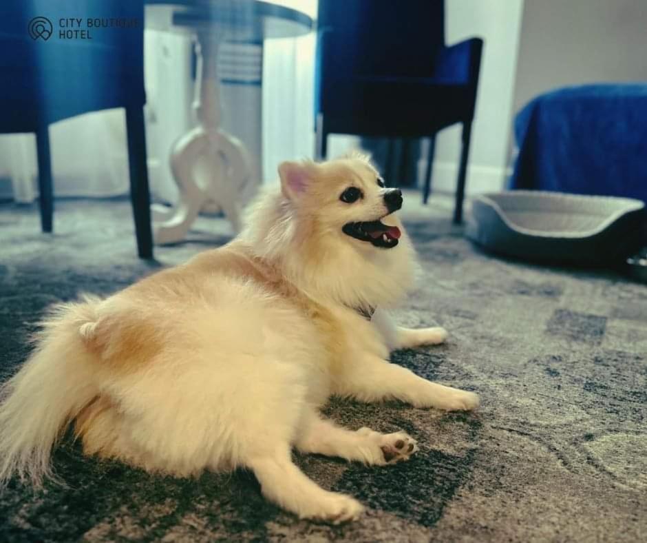 City Boutique Hotel 锡隆纳葛拉 外观 照片